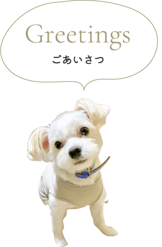 Greetings ごあいさつ